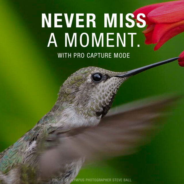 Never Miss a Moment with Pro Capture