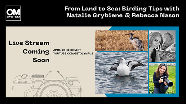 Bird Event