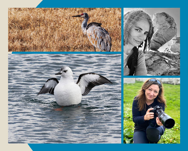 Bird Photography Tips