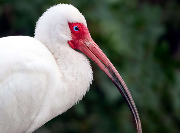 75-300mm Photo