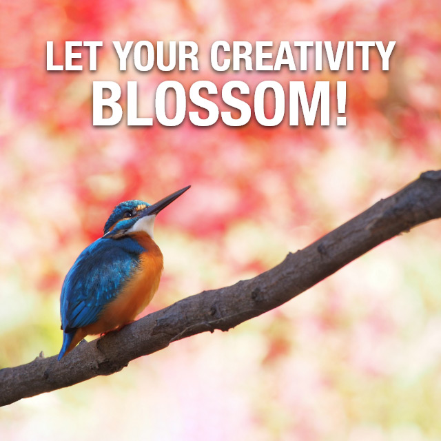 Let Your Creativity Blossom