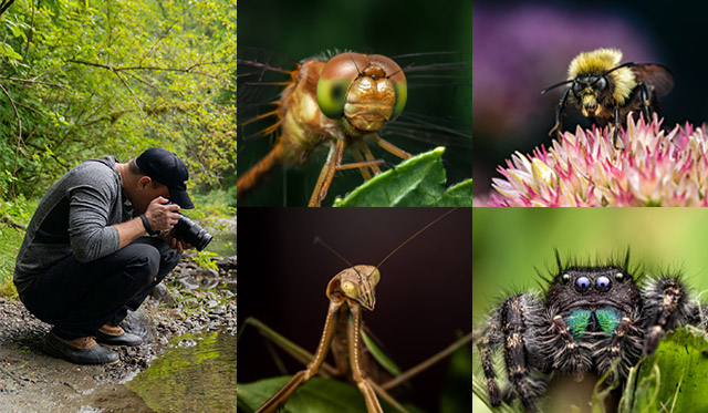 Chris McGinnis Macro Photography