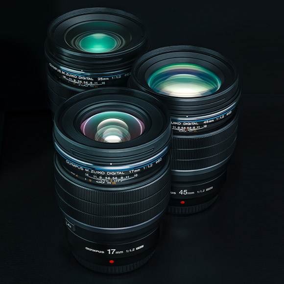 F1.2 Family