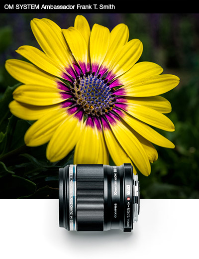 30mm Macro - Flower
