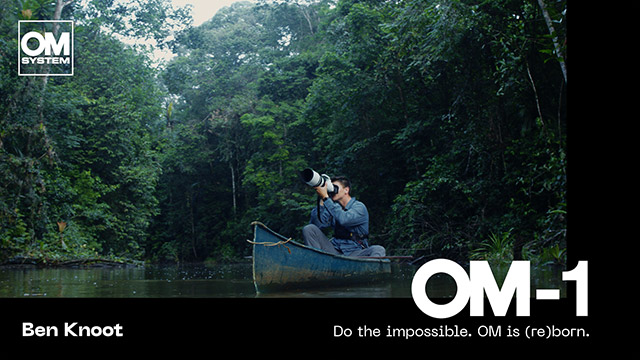 OM-1 Bird Video