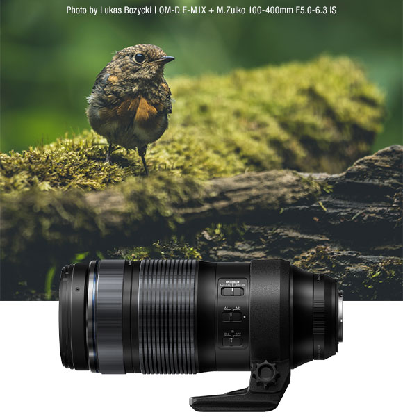 Bird and 100-400mm lens