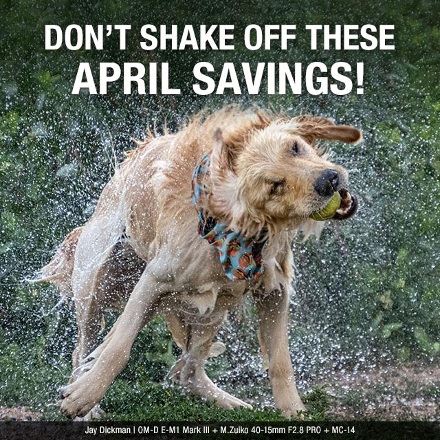 Don't Shake Off These April Savings