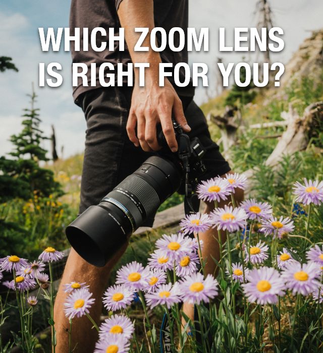Which Zoom Lens is Right for You?