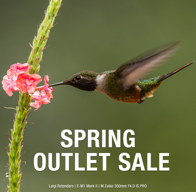 Spring Outlet Sale