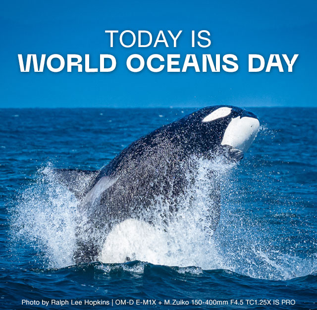 Today is World Oceans Day